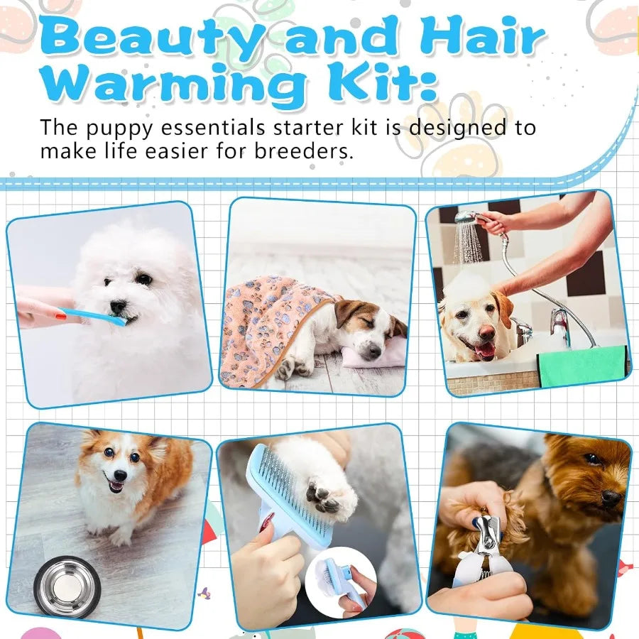 65 Pcs Puppy Supplies Starter Kit Small Dog Essentials Includes Dog Leash Toys Bowl Brushes Water Bottles Pet Blankets Puppy