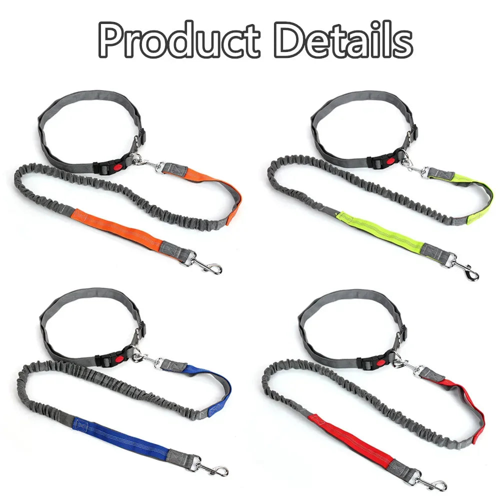 Retractable Dog Leash with Adjustable Waist Rope, Hand Free Running,  Jogging and Cycling
