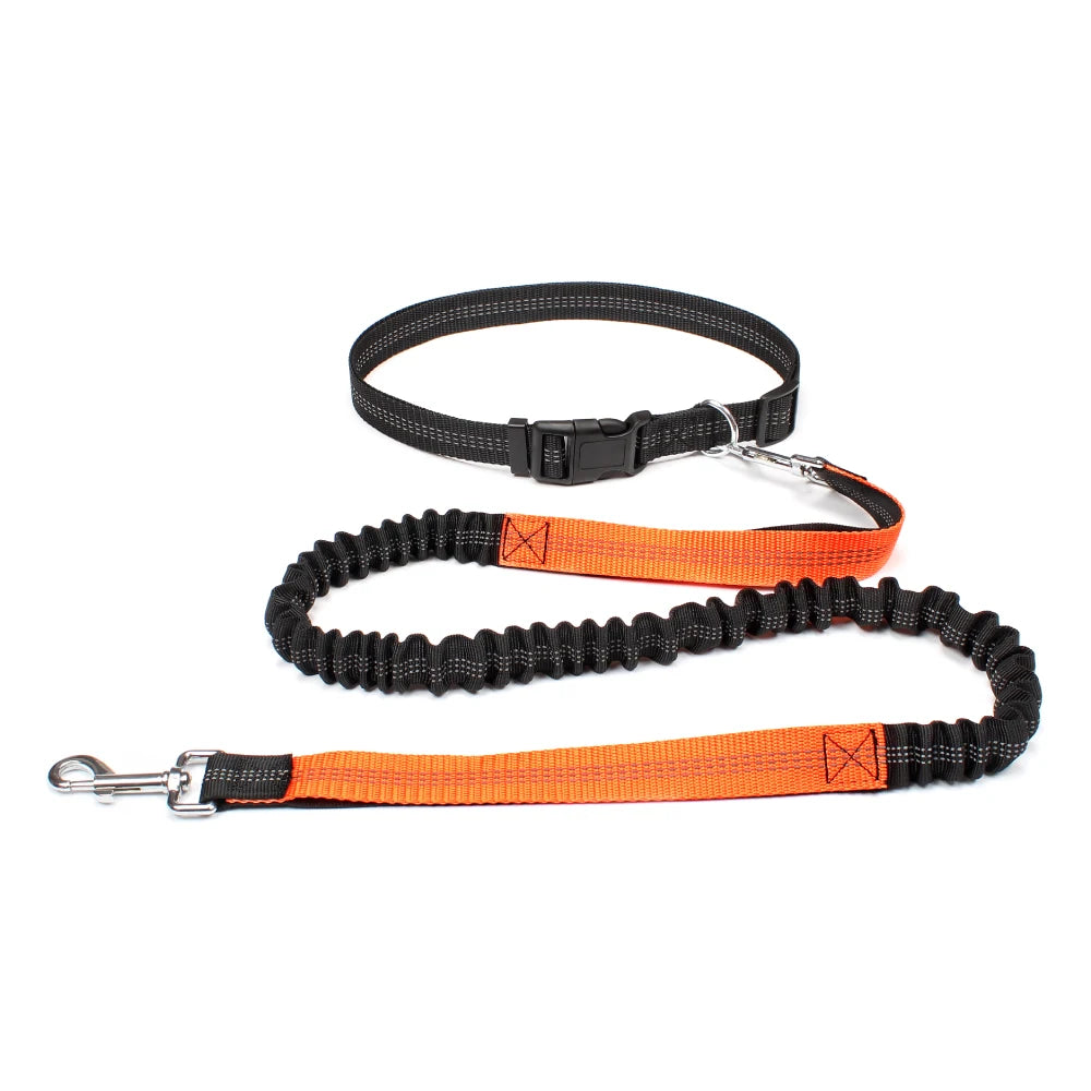 Hand Free Dog Leash for Pet Walking, Running,  & Jogging with Adjustable Dog leash Waist Belt and Chest Strap with Traction Rope