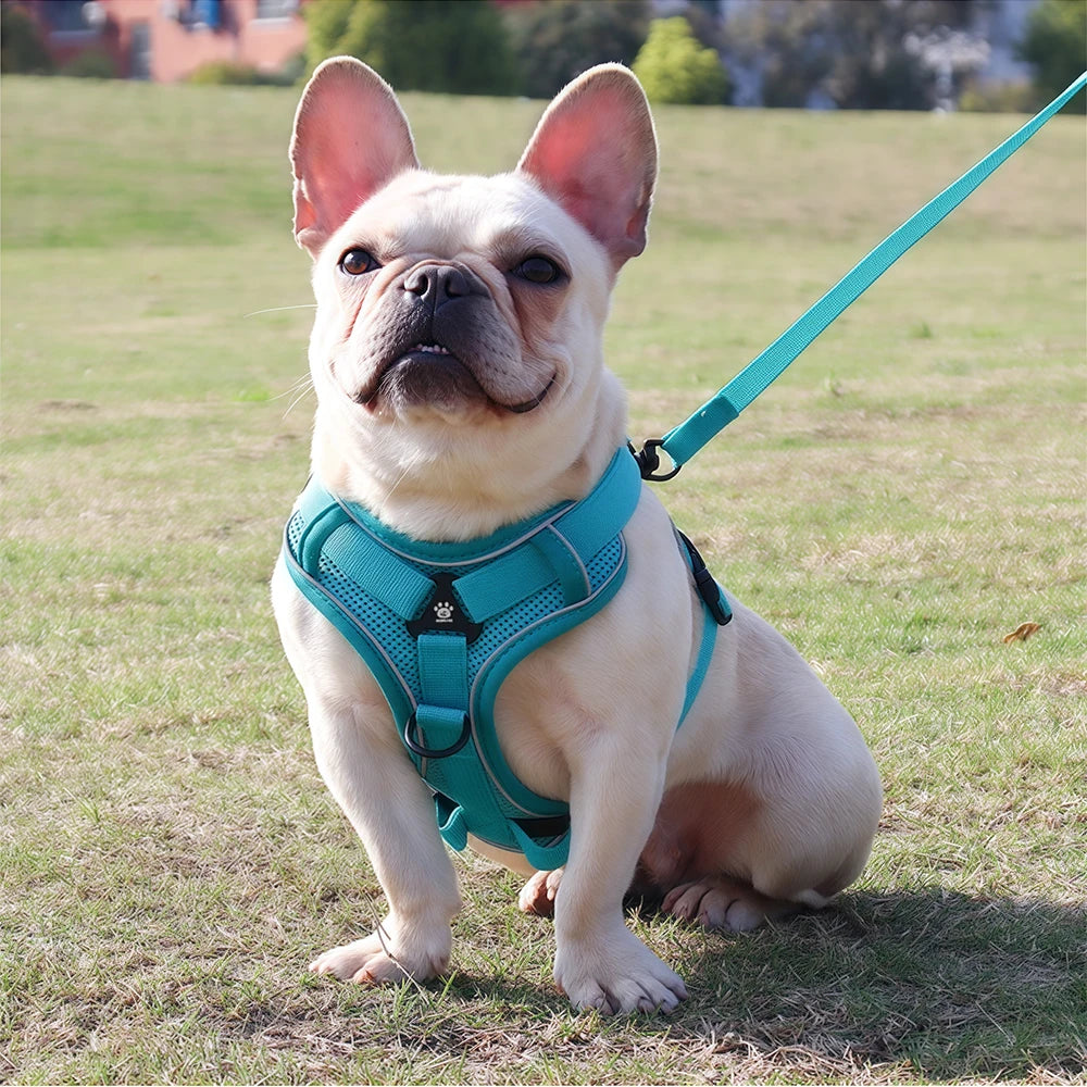 Dog Vest Harness & Leash Set with Reflective Adjustable Puppy Chest Strap for Small Dogs, Cats French Bulldogs, etc.