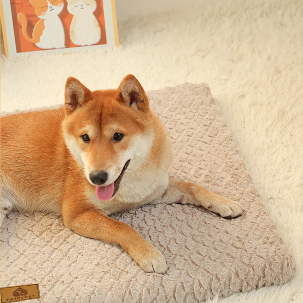 3D Foam Dog Bed With Removable Washable Faux Fur Cover, with Orthopedic Waterproof and Anti-Slip bottom.