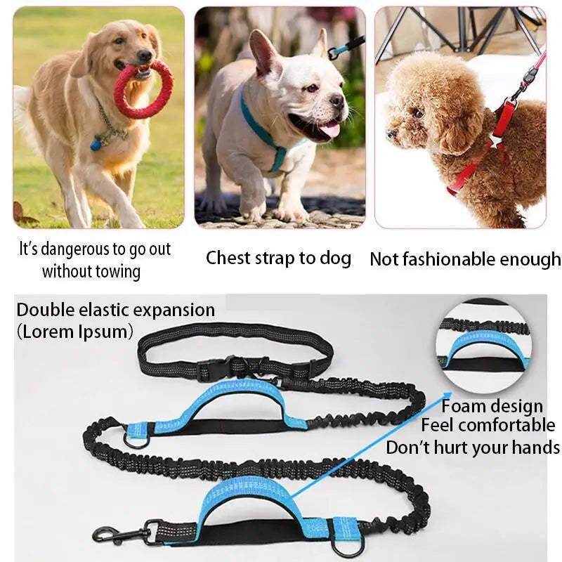 Double elastic reflective running leash,  portable and retractable dog leash