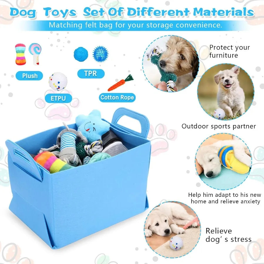 65 Pcs Puppy Supplies Starter Kit Small Dog Essentials Includes Dog Leash Toys Bowl Brushes Water Bottles Pet Blankets Puppy