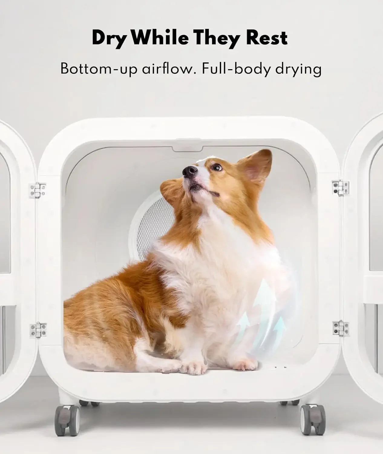 135L Ultra-Quiet Pet Dryer Box, Smart Temp Control, 360° Hands-Free Safe Drying for Dogs, Cats & Multi-Pet, Custom