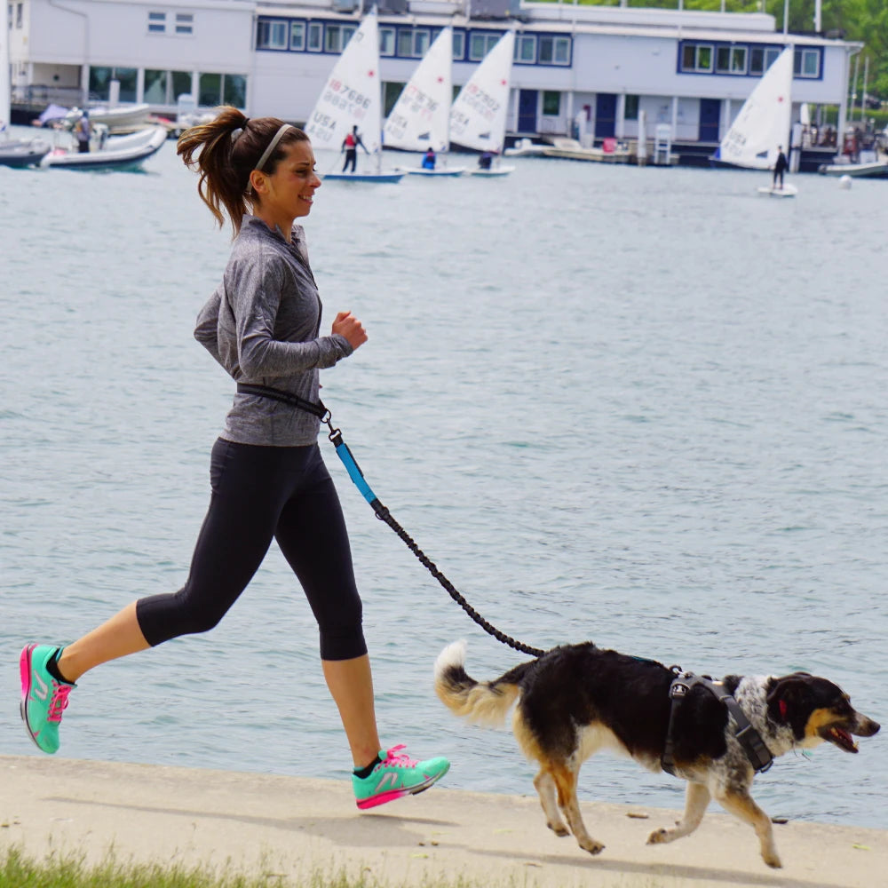 Hand Free Dog Leash for Pet Walking, Running,  & Jogging with Adjustable Dog leash Waist Belt and Chest Strap with Traction Rope