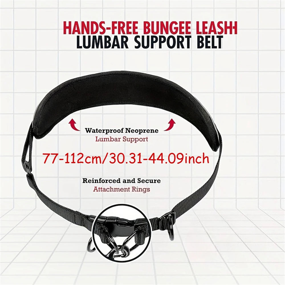 Hands Free Dog Leash Dog with Waist Leash With Lumbar Support Belt. Multifunctional Extendable Dog Leash with Reflective Bungee Leash.