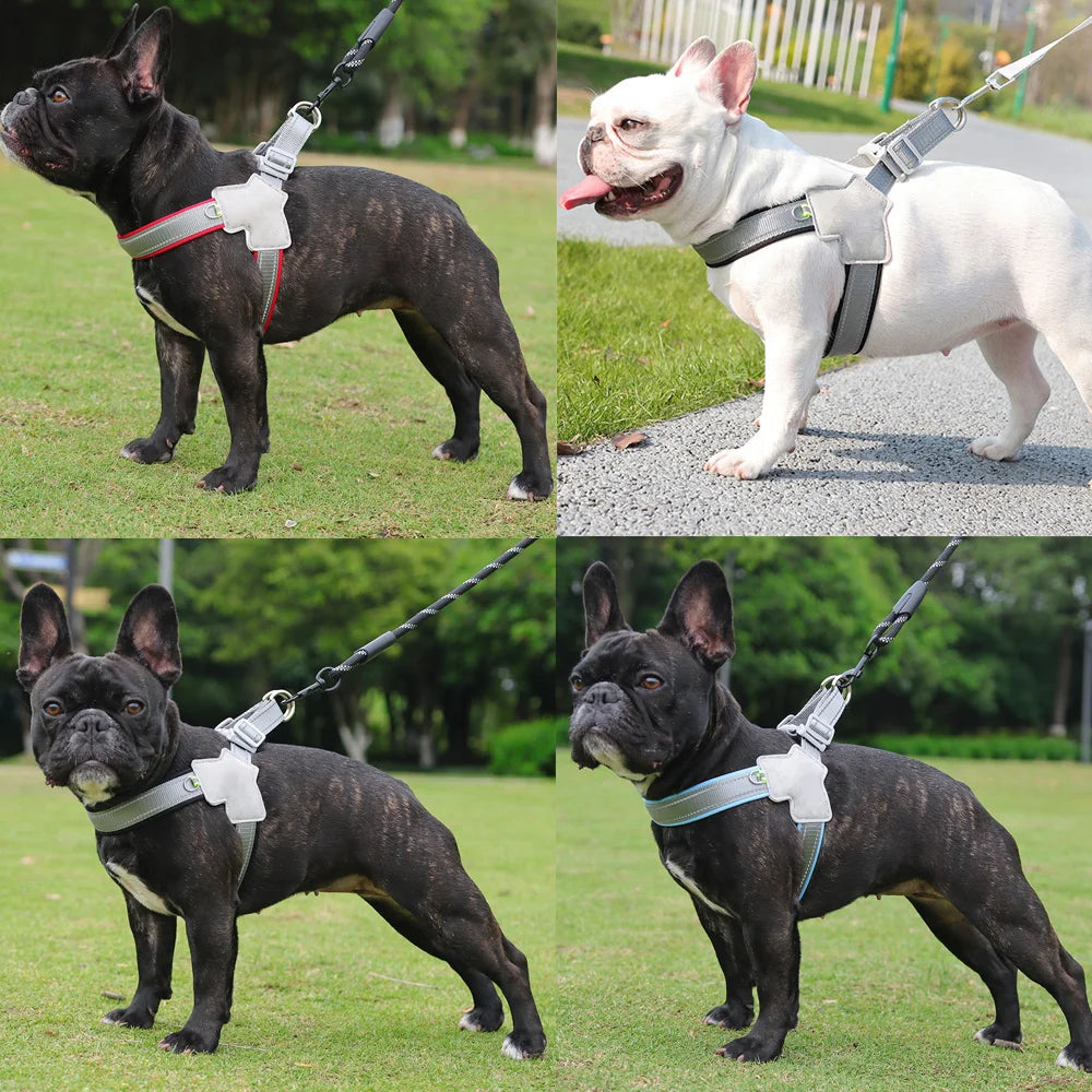 Pet Dog Harness for Small Medium Big Dogs & Cats for Hiking and Walking,  Adjustable Reflective Chest Strap