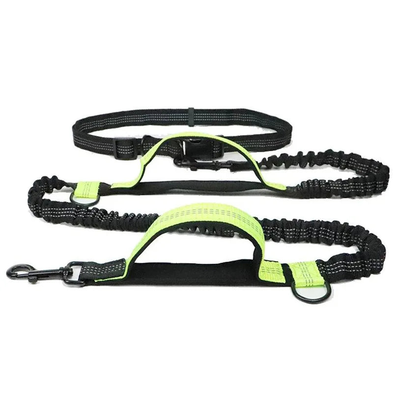 Hands Free Dog  Leash for Pet Walking & Running. Retractable Elastic Belt and Traction Rope for Running & Walking