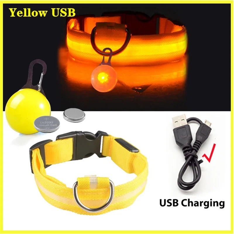 USB Charging Glowing Dog Collar With Pendant Detachable Luxury Led Light Bright For Small Dogs Cat Night Safety Collar Wholesale