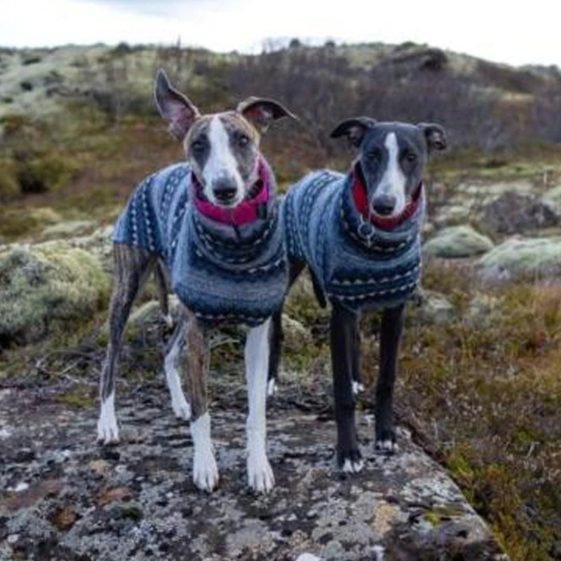 Winter Fleece Turtleneck Whippet Vest Italian Greyhound Bohemia Style Clothes Dog Coat Soft Stretch Bedlington Clothes