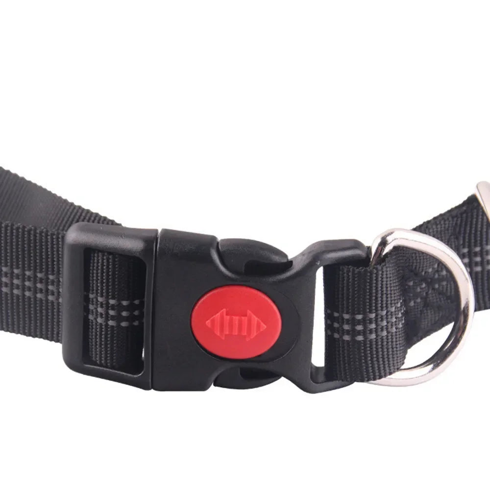 Retractable Dog Leash with Adjustable Waist Rope, Hand Free Running,  Jogging and Cycling