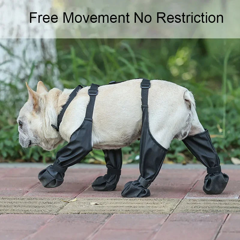 Best Anti-Slip Dog Shoes and Rain Booties, Dirty-proof & Anti-fall, with Suspender & Sock Shoes