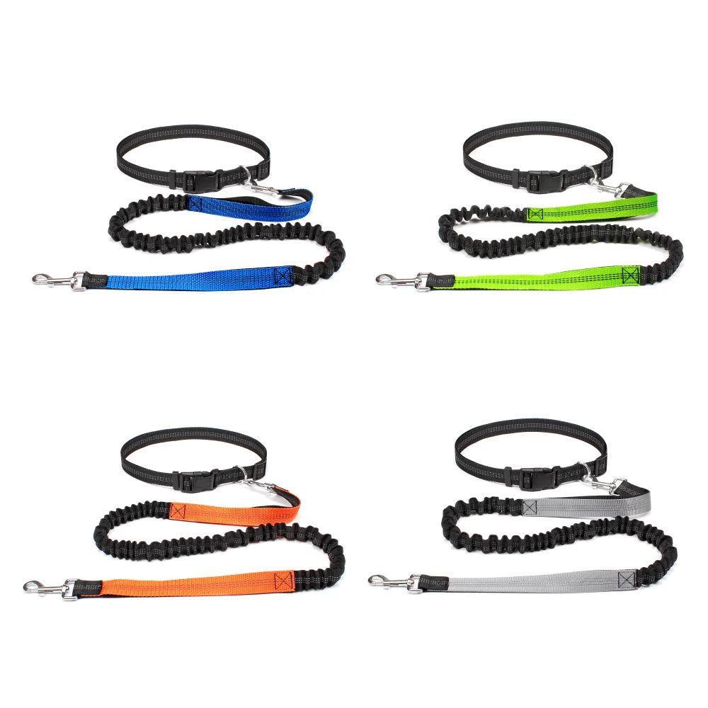 Hand Free Dog Leash for Pet Walking, Running,  & Jogging with Adjustable Dog leash Waist Belt and Chest Strap with Traction Rope