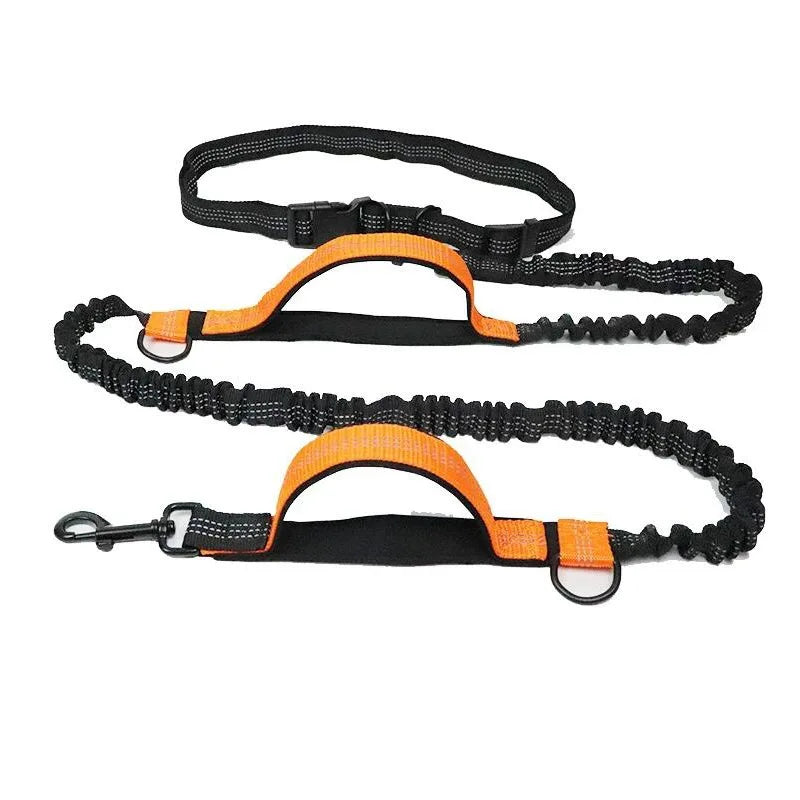 Hands Free Dog  Leash for Pet Walking & Running. Retractable Elastic Belt and Traction Rope for Running & Walking