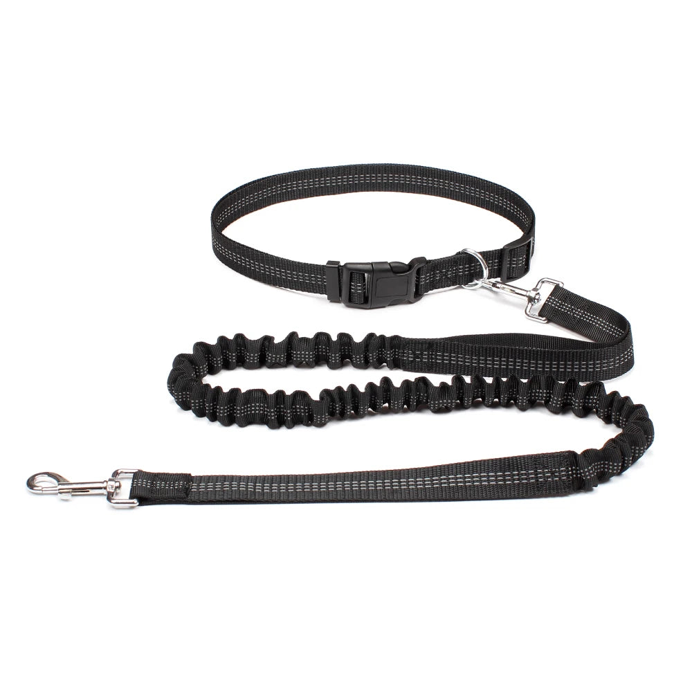 Hand Free Dog Leash for Pet Walking, Running,  & Jogging with Adjustable Dog leash Waist Belt and Chest Strap with Traction Rope