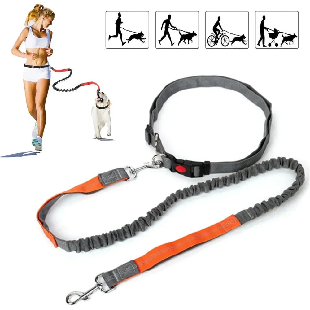 Retractable Dog Leash with Adjustable Waist Rope, Hand Free Running,  Jogging and Cycling