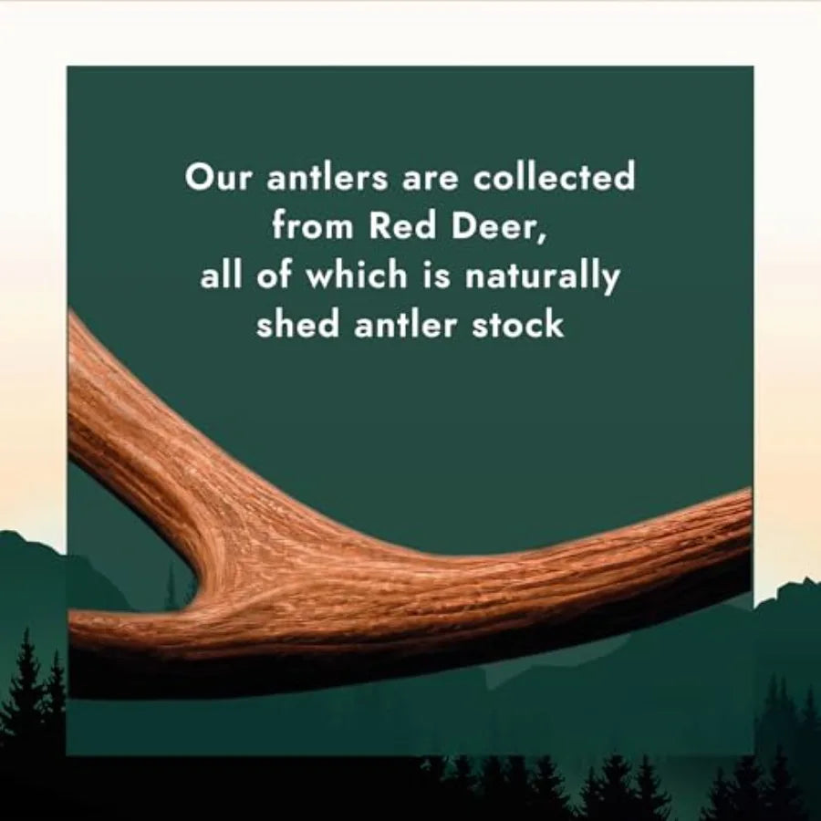 Naturally Shed Deer Antlers for Dogs - Long Lasting Dog Antler Chews for Aggressive Chewers Ethically Sourced from Scottish Highland