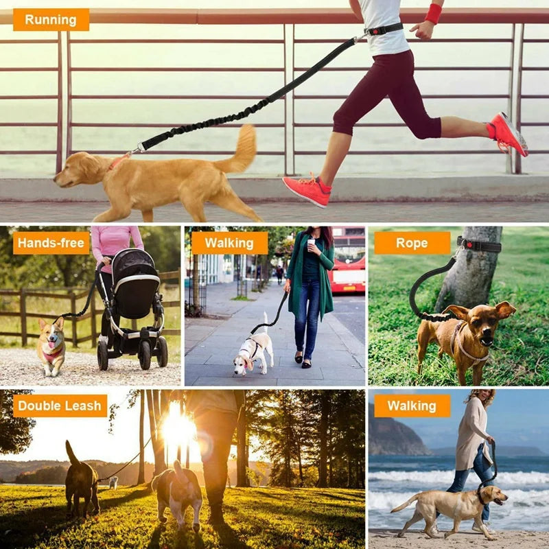 Hands Free Dog  Leash for Pet Walking & Running. Retractable Elastic Belt and Traction Rope for Running & Walking