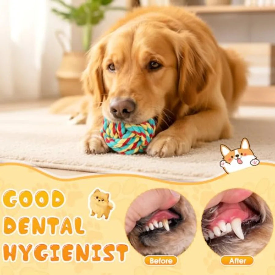 27 Pack Dog Rope Toys for Aggressive Chewers Heavy Duty Teething Chew and Tug Toy Set for Medium and Large Dogs Puppy Toys